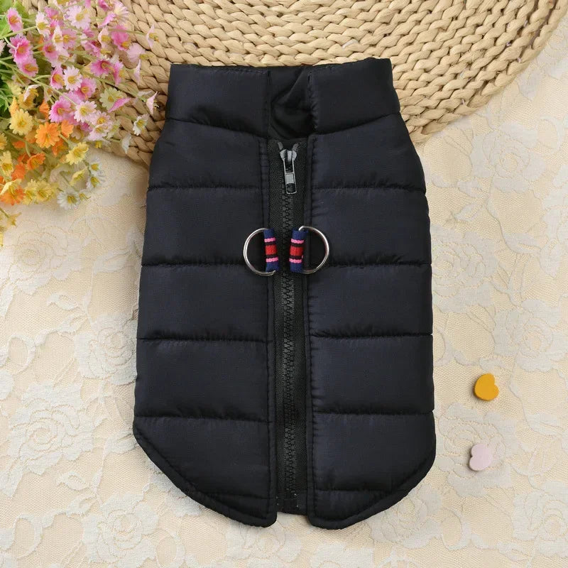 Windproof Padded Pet Dog Coat Jacket for Small Puppies