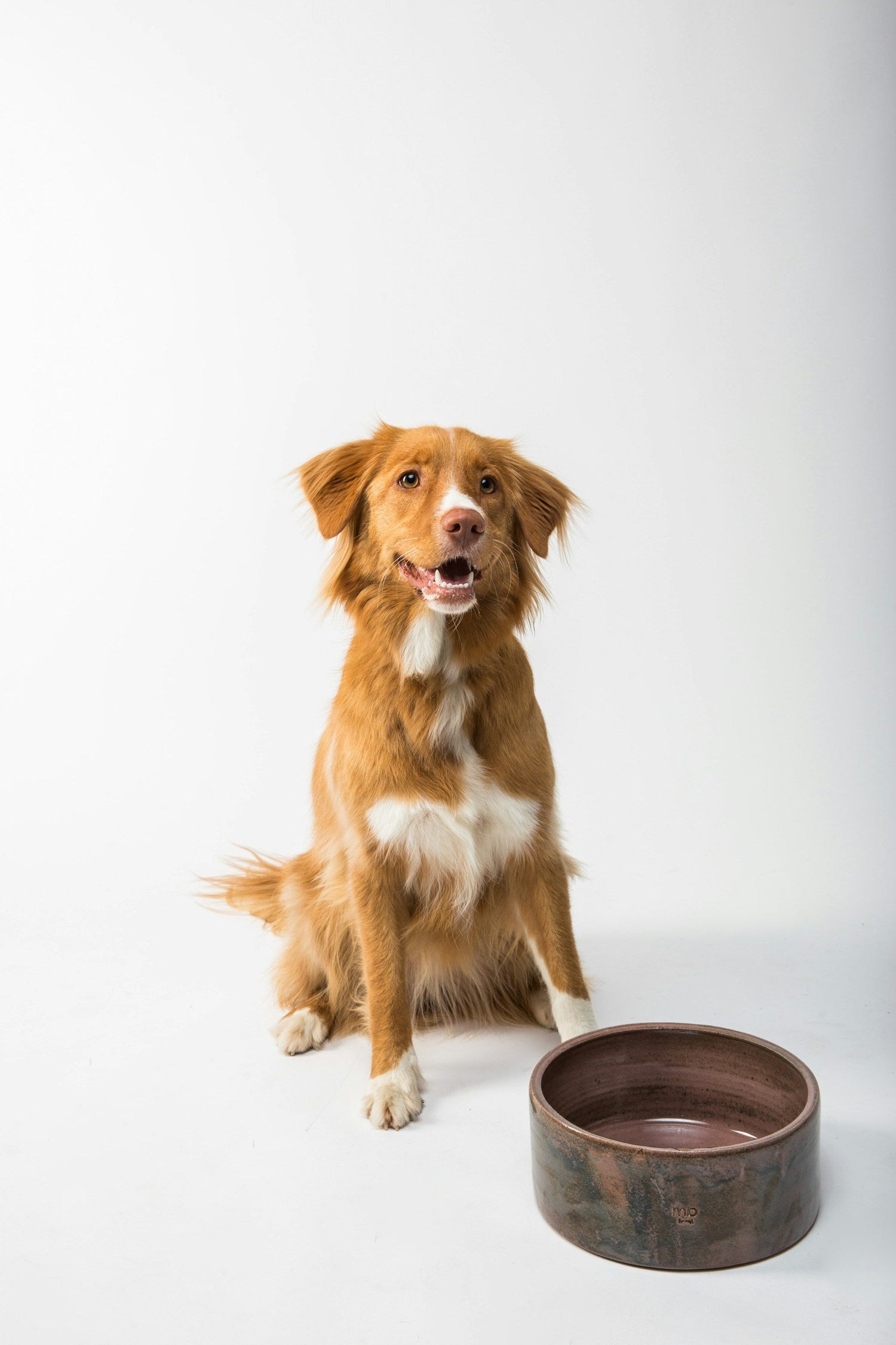 Feeder & Bowls