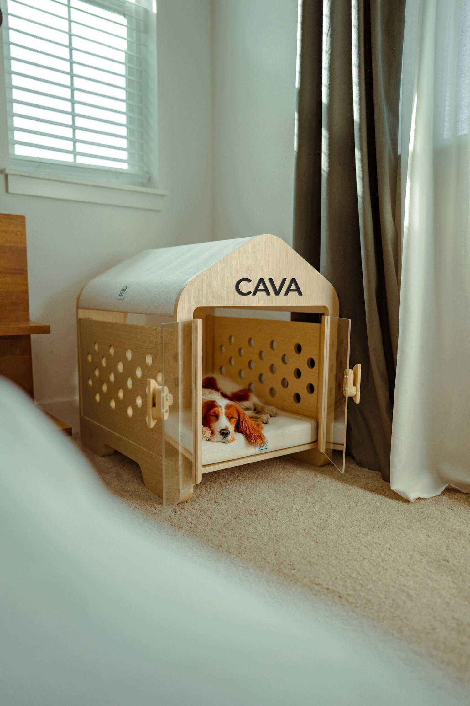 Kennels & Travel Supplies