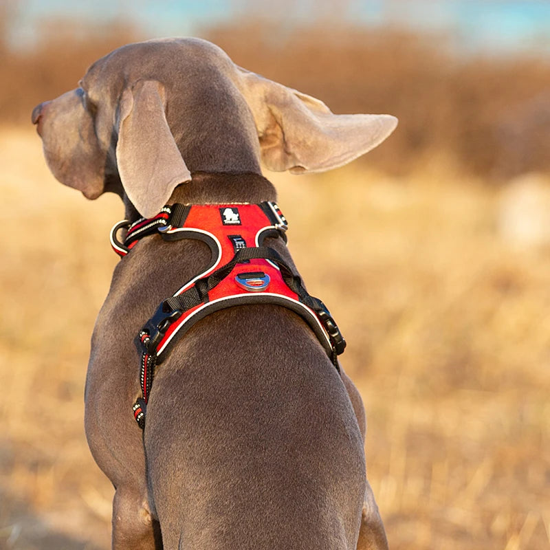 TrueLove Reflective Nylon Dog Harness No Pull Adjustable Safety Vest