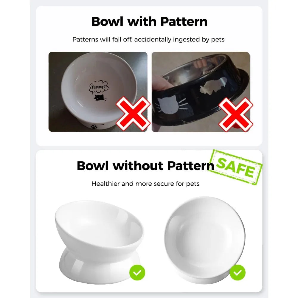 Raised Tilted Cat Food Bowl Ergonomic Anti Vomiting Feeder