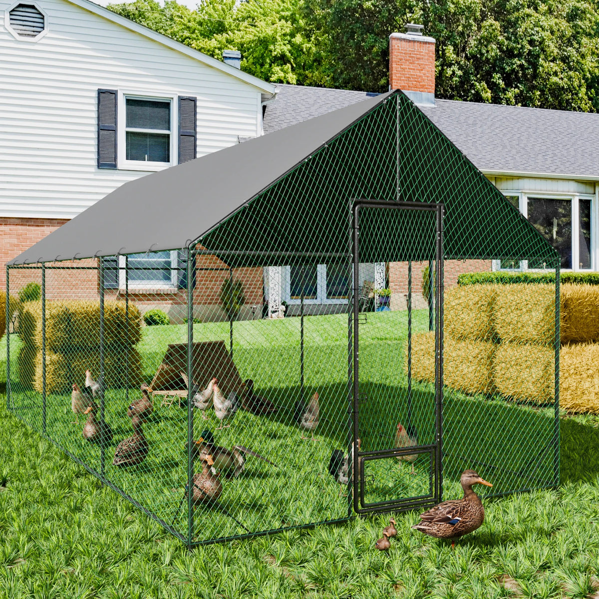 Bingopaw Heavy Duty Metal Chicken Coop With Nylon Netting