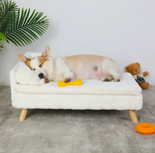 Bingopaw Elevated Pet Bed With Waterproof Cushion And Wood Legs