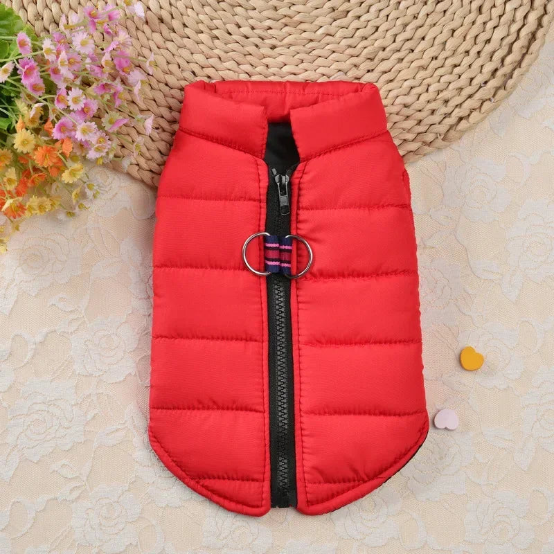 Windproof Padded Pet Dog Coat Jacket for Small Puppies