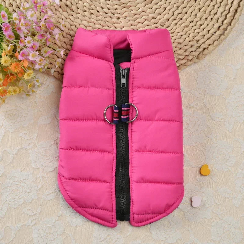 Windproof Padded Pet Dog Coat Jacket for Small Puppies