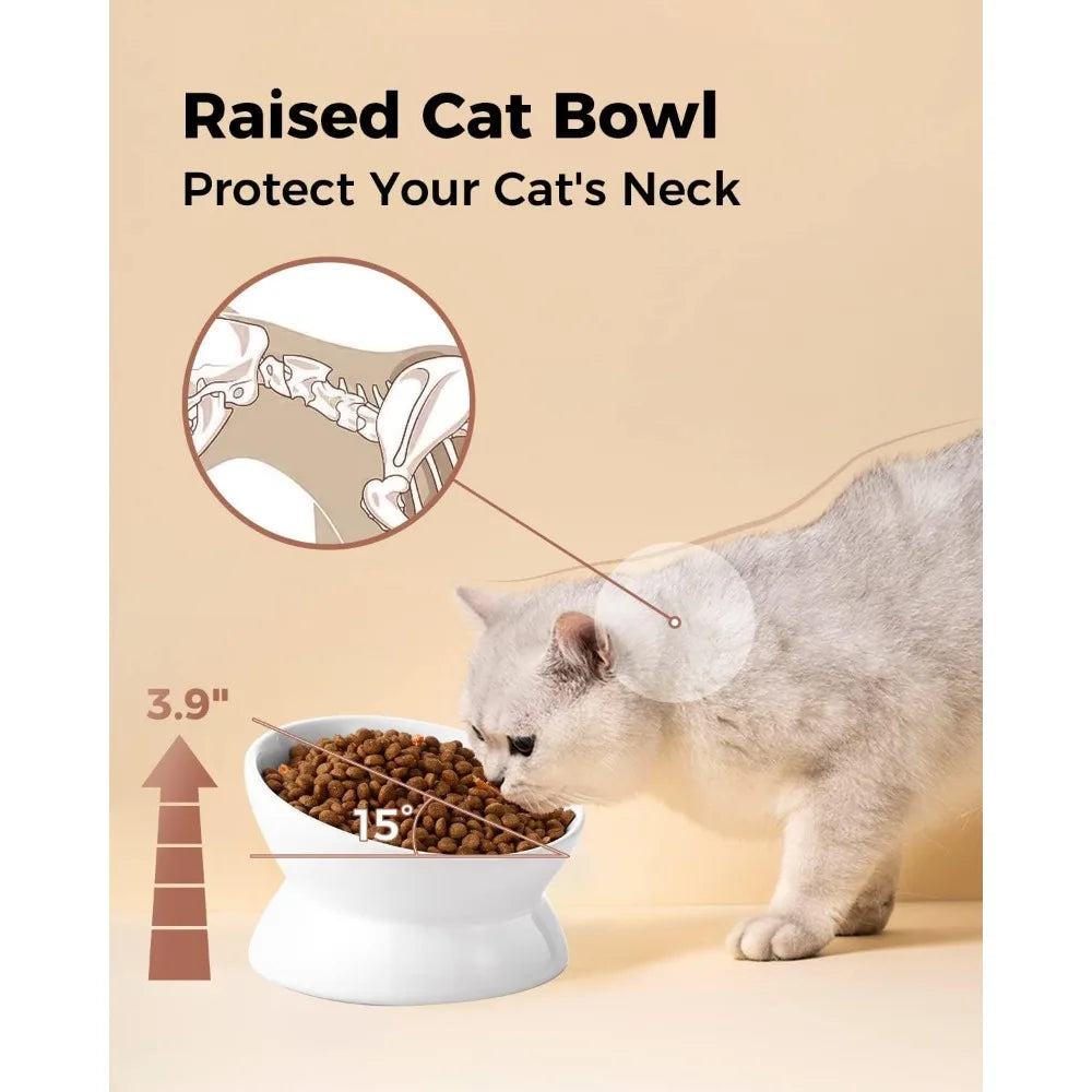Raised Tilted Cat Food Bowl Ergonomic Anti Vomiting Feeder