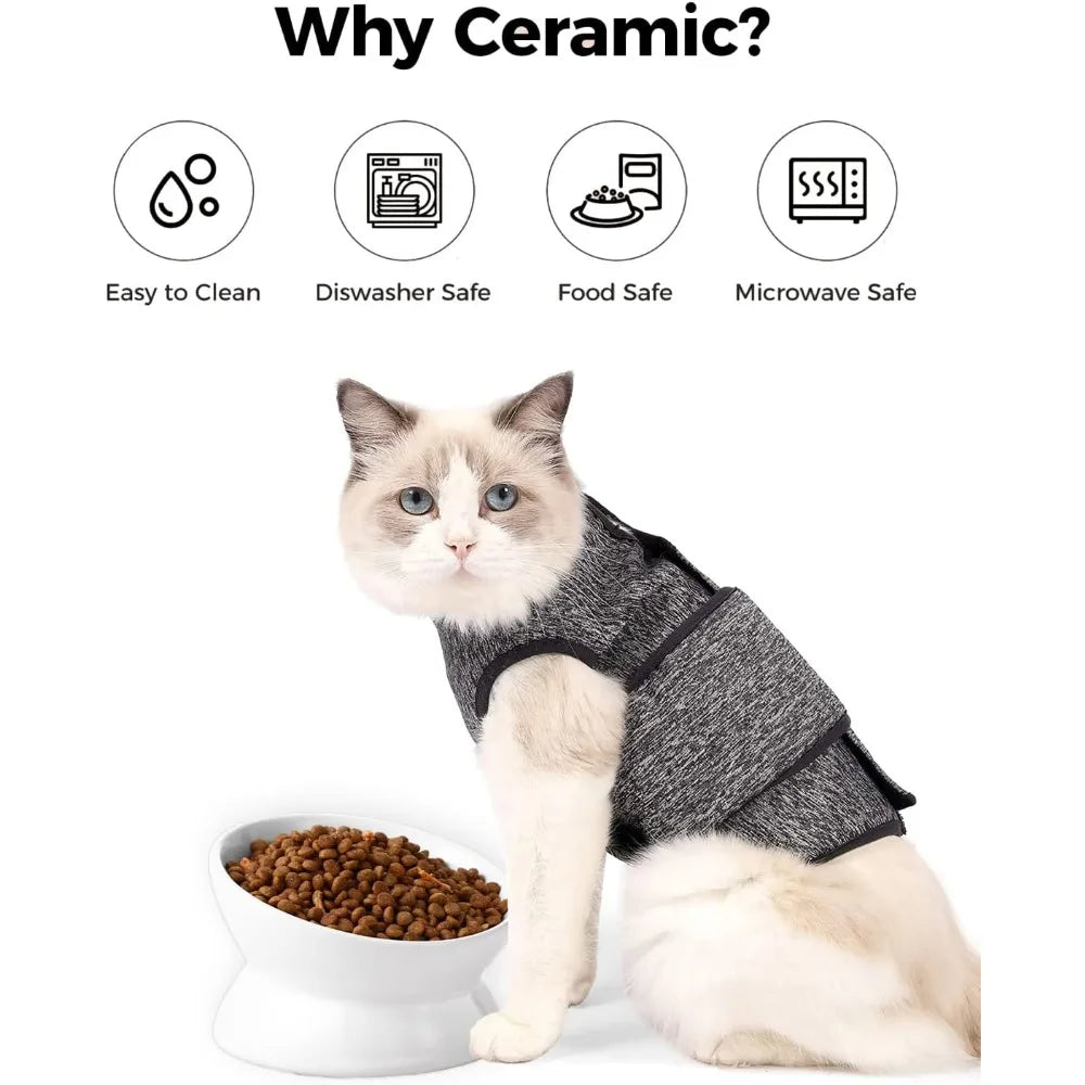 Raised Tilted Cat Food Bowl Ergonomic Anti Vomiting Feeder