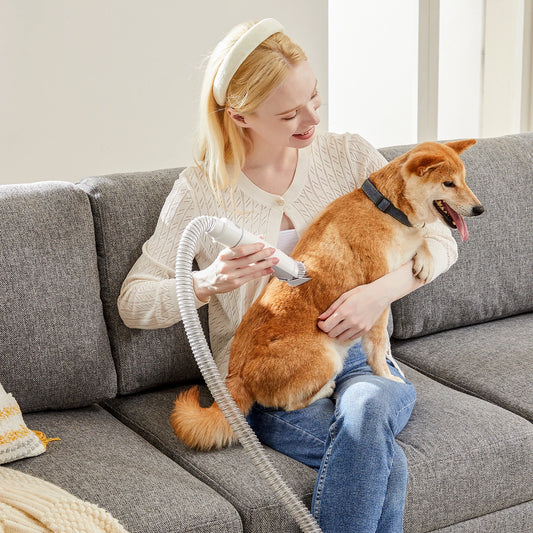 Sweetcrispy Professional Pet Grooming Vacuum Clipper Kit
