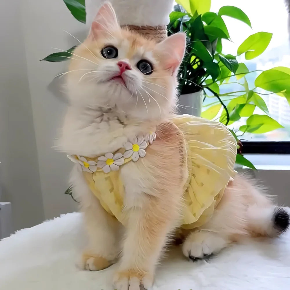 Polar Fleece Pet Dress With Floral Collar For Small Dogs