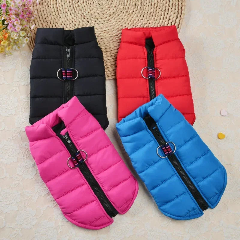 Windproof Padded Pet Dog Coat Jacket for Small Puppies