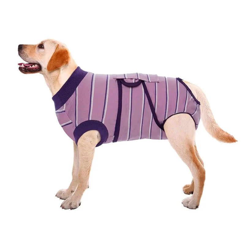 Comfortable Cotton Dog Recovery Surgical Suit For Post Care