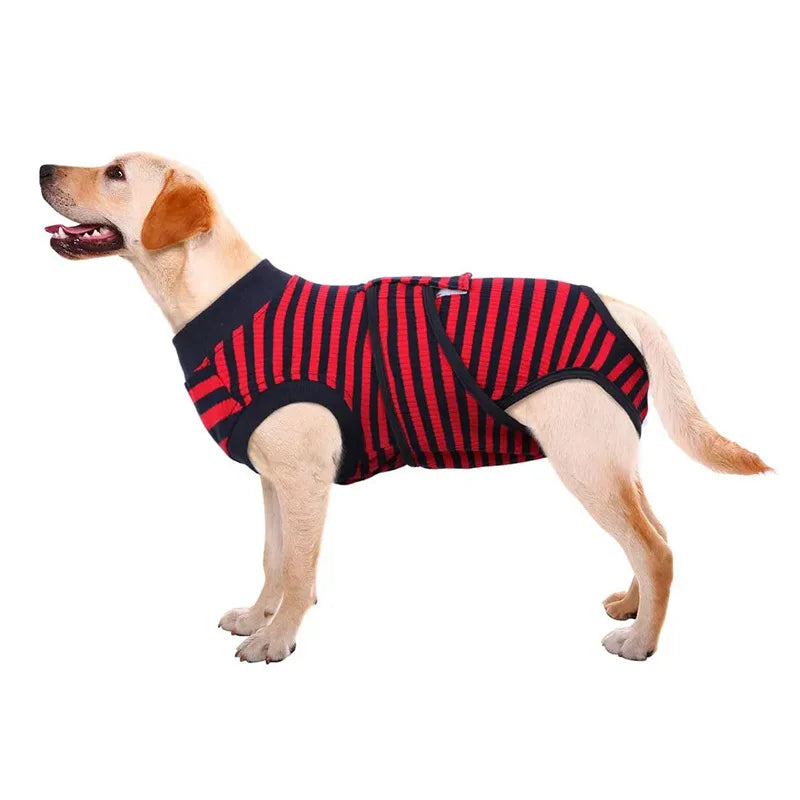 Comfortable Cotton Dog Recovery Surgical Suit For Post Care