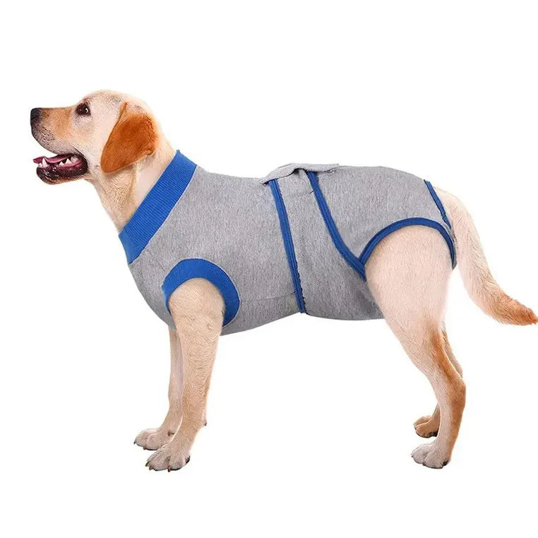 Comfortable Cotton Dog Recovery Surgical Suit For Post Care