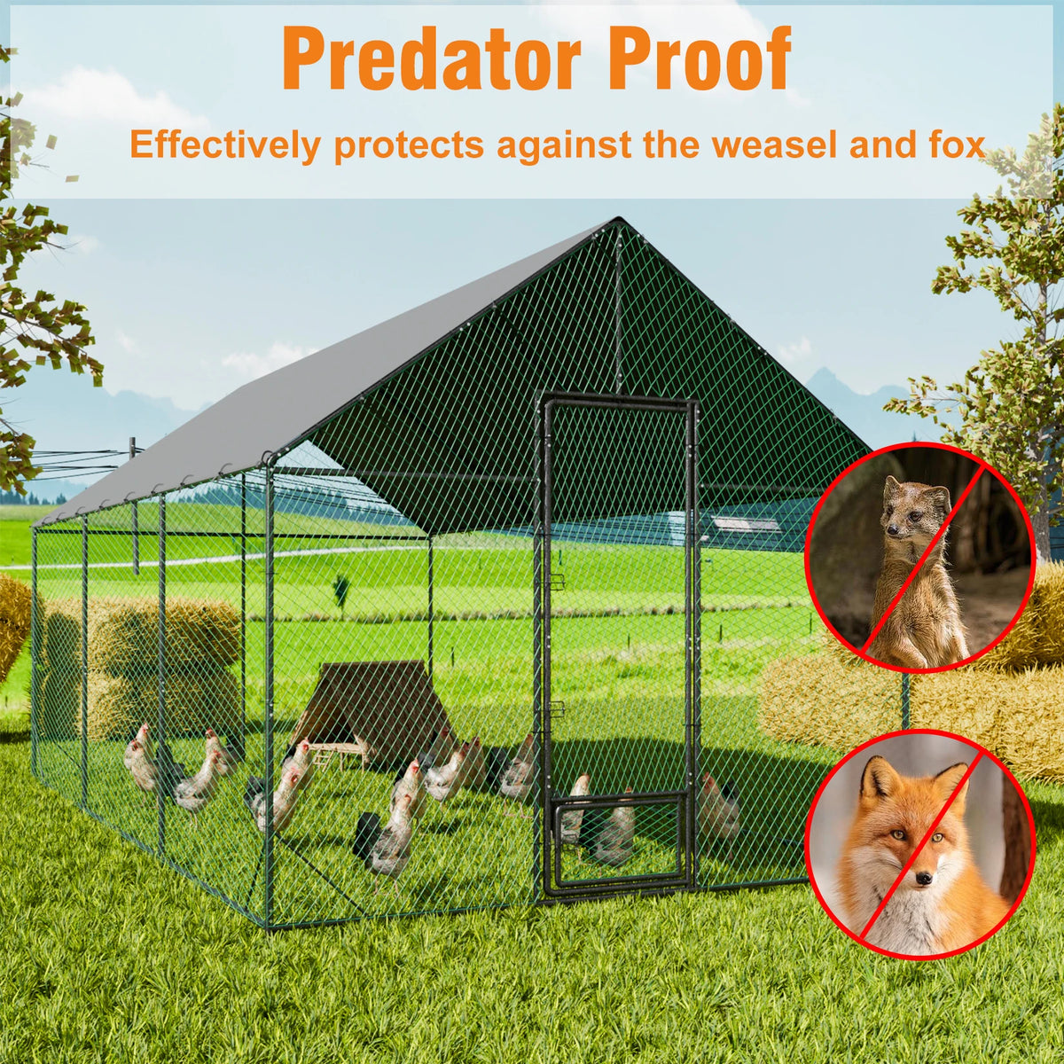 Bingopaw Heavy Duty Metal Chicken Coop With Nylon Netting