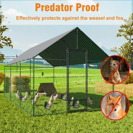 Bingopaw Heavy Duty Metal Chicken Coop With Nylon Netting