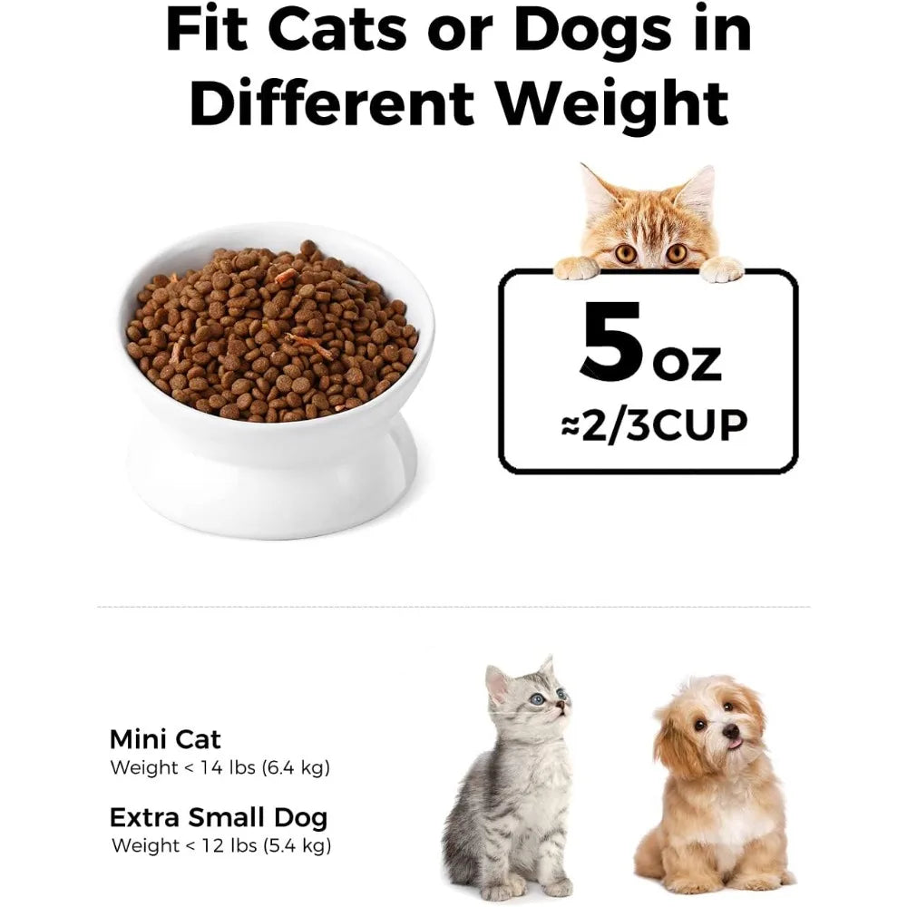 Raised Tilted Cat Food Bowl Ergonomic Anti Vomiting Feeder