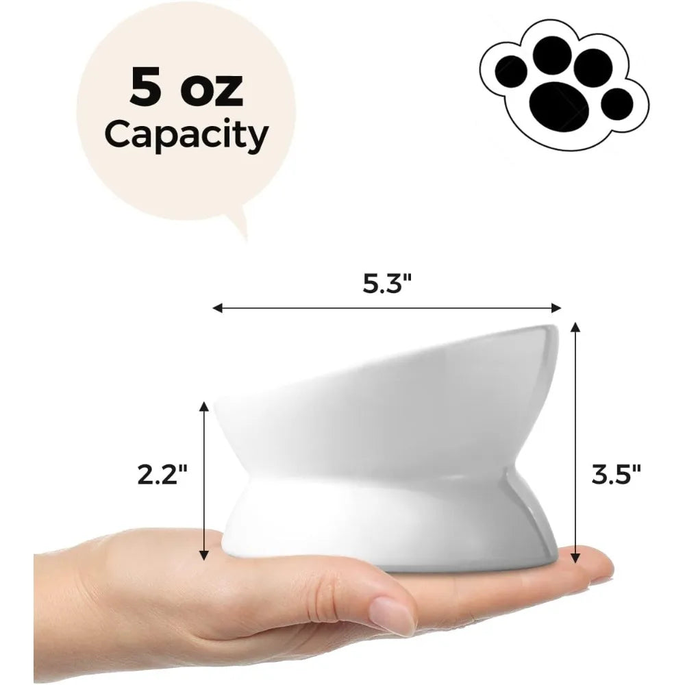 Raised Tilted Cat Food Bowl Ergonomic Anti Vomiting Feeder