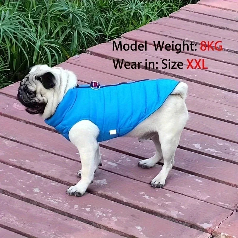 Windproof Padded Pet Dog Coat Jacket for Small Puppies