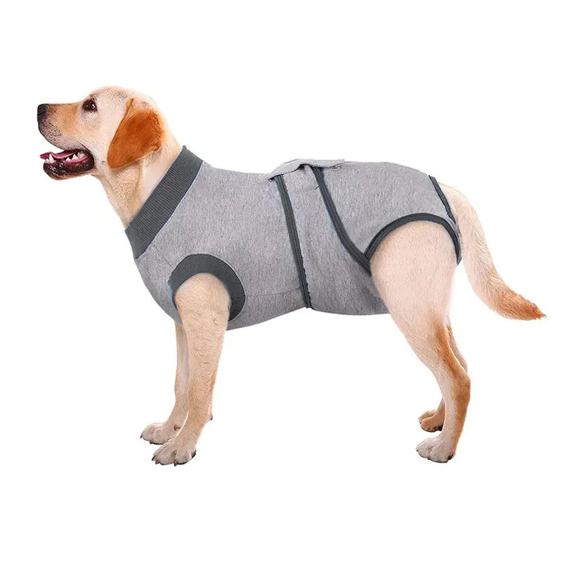 Comfortable Cotton Dog Recovery Surgical Suit For Post Care