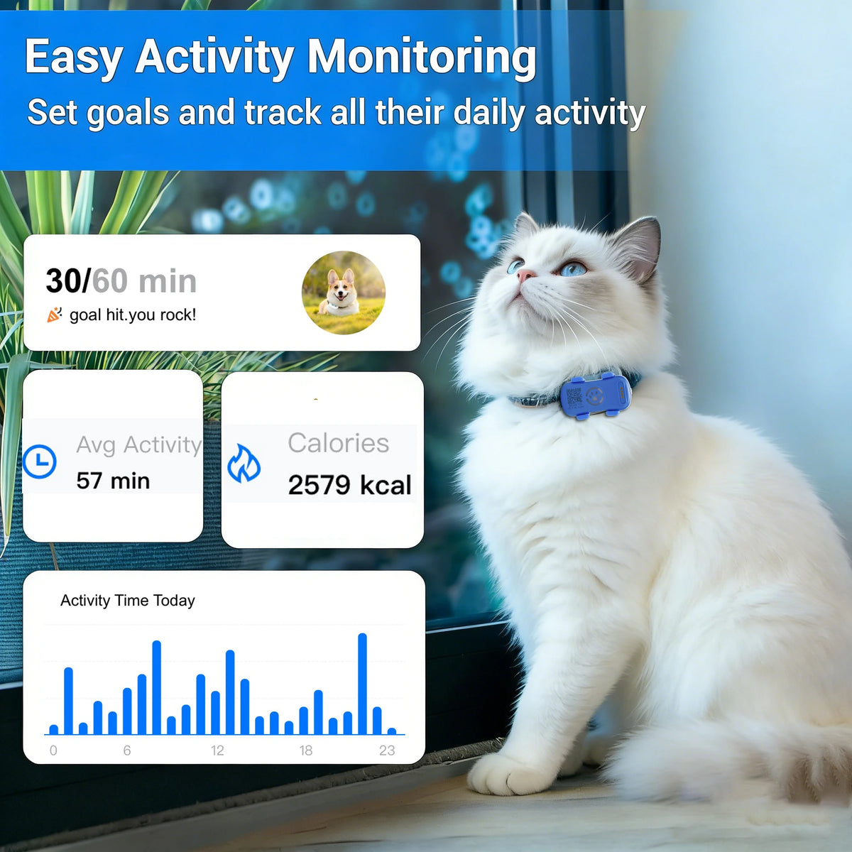 Wanwaytech Gps Pet Tracker For Dogs With Real Time Tracking